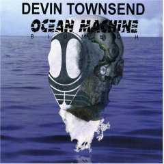 dtbiomech1