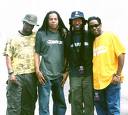 livingcolour